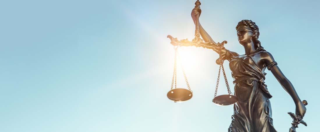 Halunen Law